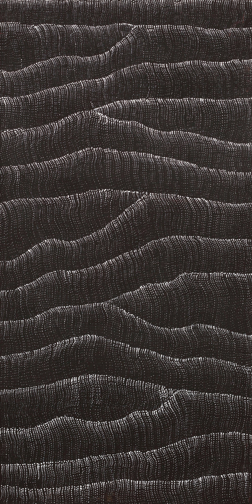 Aboriginal Artwork by Debbie Napaljarri Brown, Wanakiji Jukurrpa (Bush Tomato Dreaming), 122x61cm
