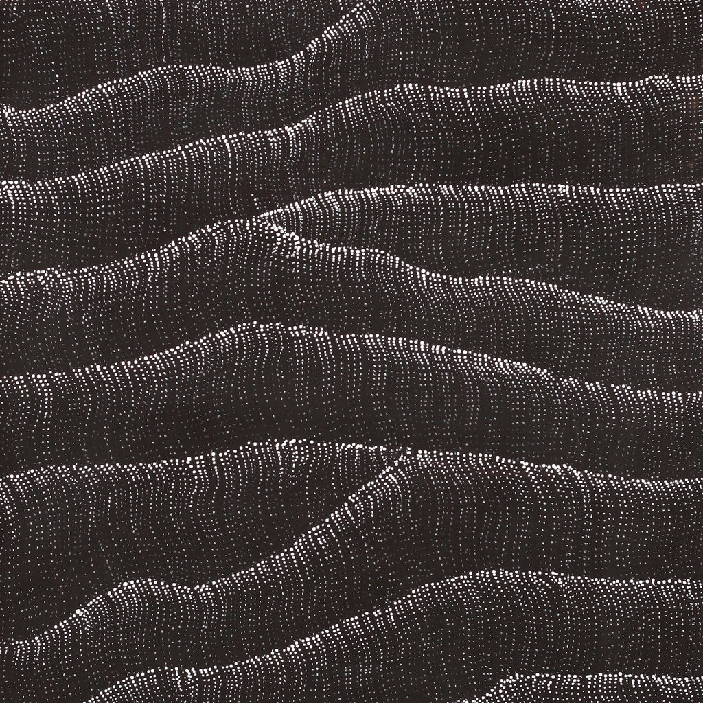Aboriginal Artwork by Debbie Napaljarri Brown, Wanakiji Jukurrpa (Bush Tomato Dreaming), 122x61cm
