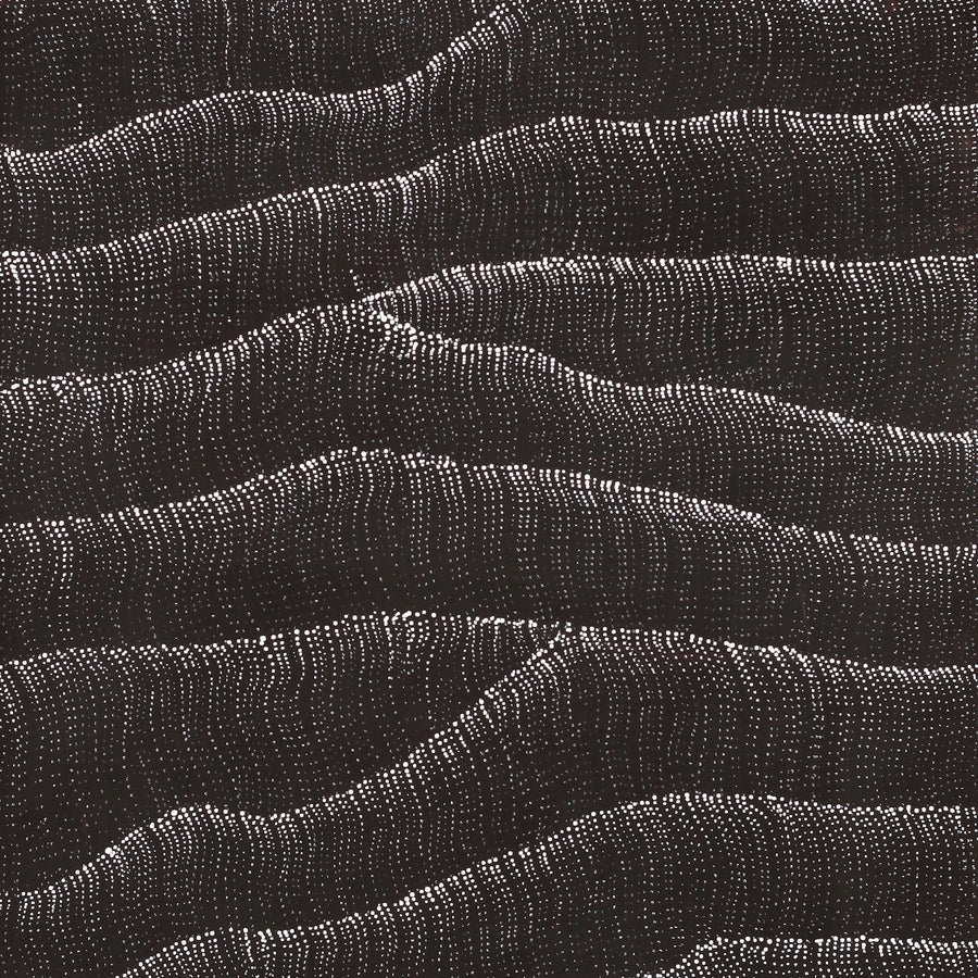 Aboriginal Artwork by Debbie Napaljarri Brown, Wanakiji Jukurrpa (Bush Tomato Dreaming), 122x61cm