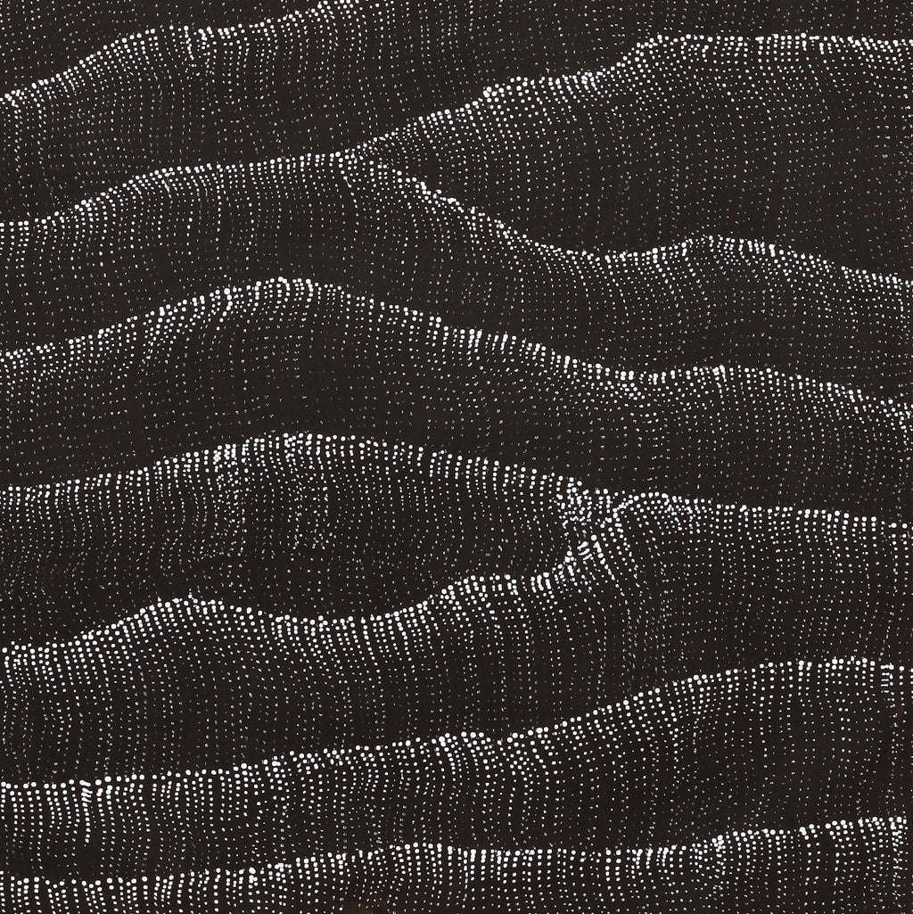 Aboriginal Artwork by Debbie Napaljarri Brown, Wanakiji Jukurrpa (Bush Tomato Dreaming), 122x61cm