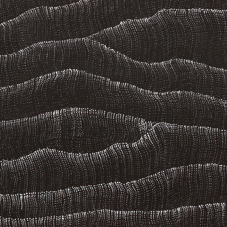 Aboriginal Artwork by Debbie Napaljarri Brown, Wanakiji Jukurrpa (Bush Tomato Dreaming), 122x61cm
