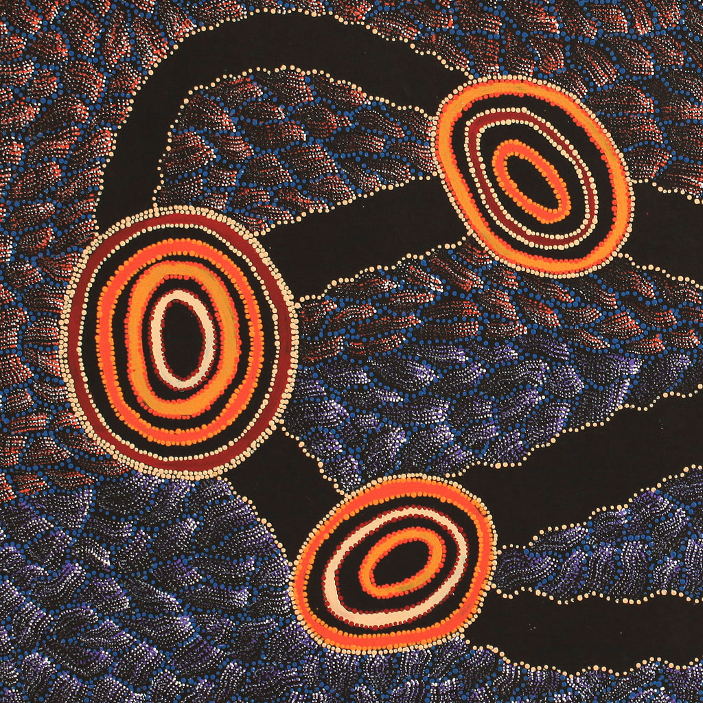 Aboriginal Artwork by Debbie Napaljarri Brown, Wanakiji Jukurrpa (Bush Tomato Dreaming), 183x76cm