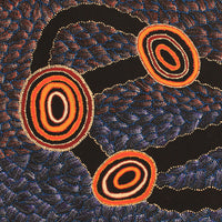 Aboriginal Artwork by Debbie Napaljarri Brown, Wanakiji Jukurrpa (Bush Tomato Dreaming), 183x76cm