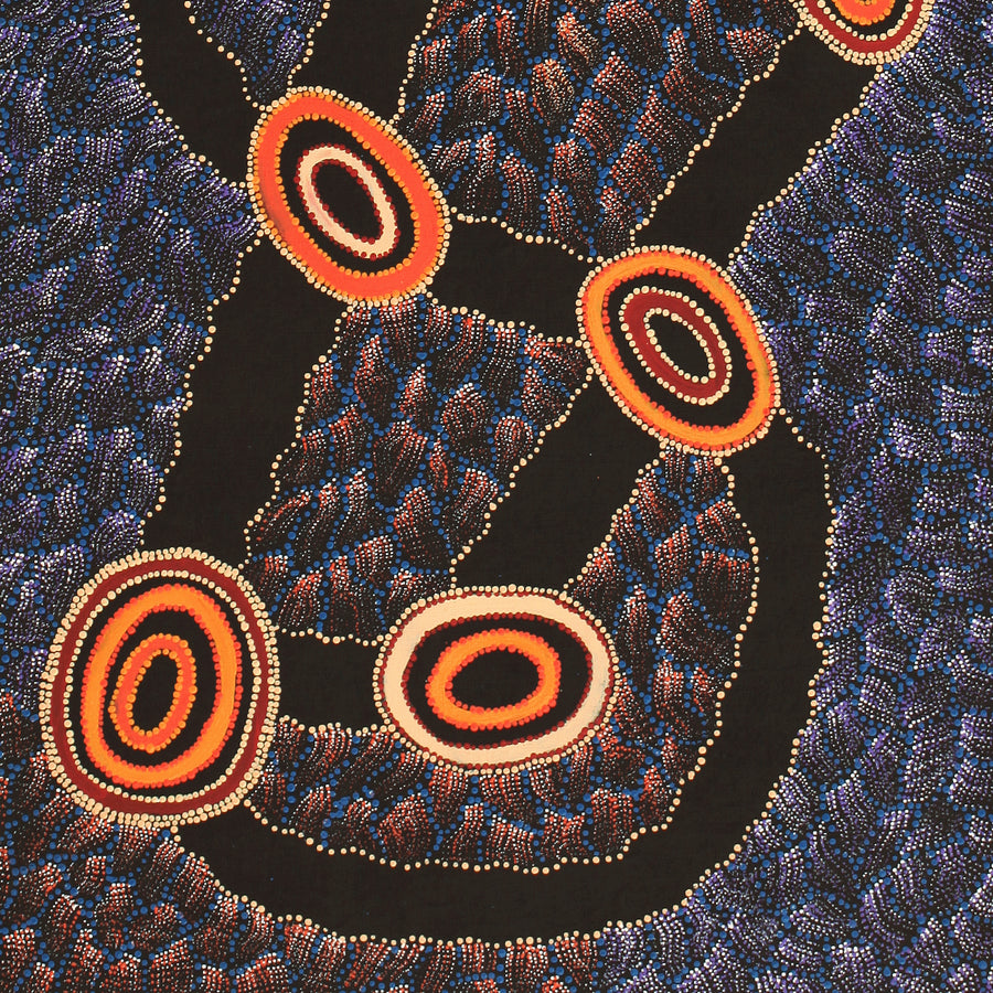 Aboriginal Artwork by Debbie Napaljarri Brown, Wanakiji Jukurrpa (Bush Tomato Dreaming), 183x76cm