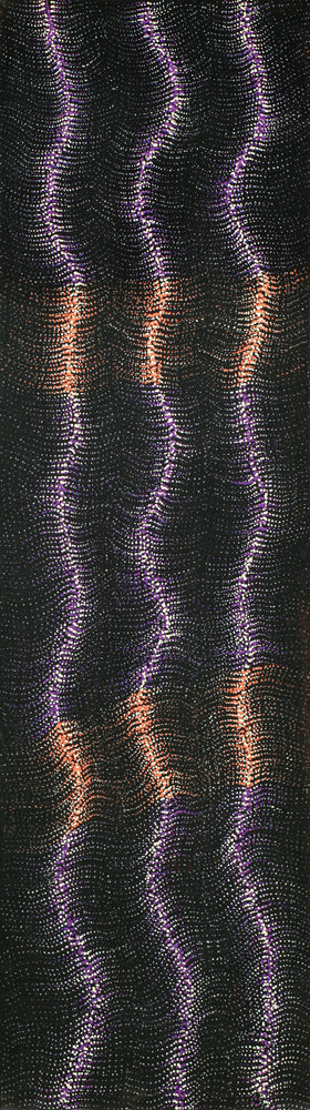 Aboriginal Artwork by Debbie Napaljarri Brown, Wanakiji Jukurrpa (Bush Tomato Dreaming), 107x30cm