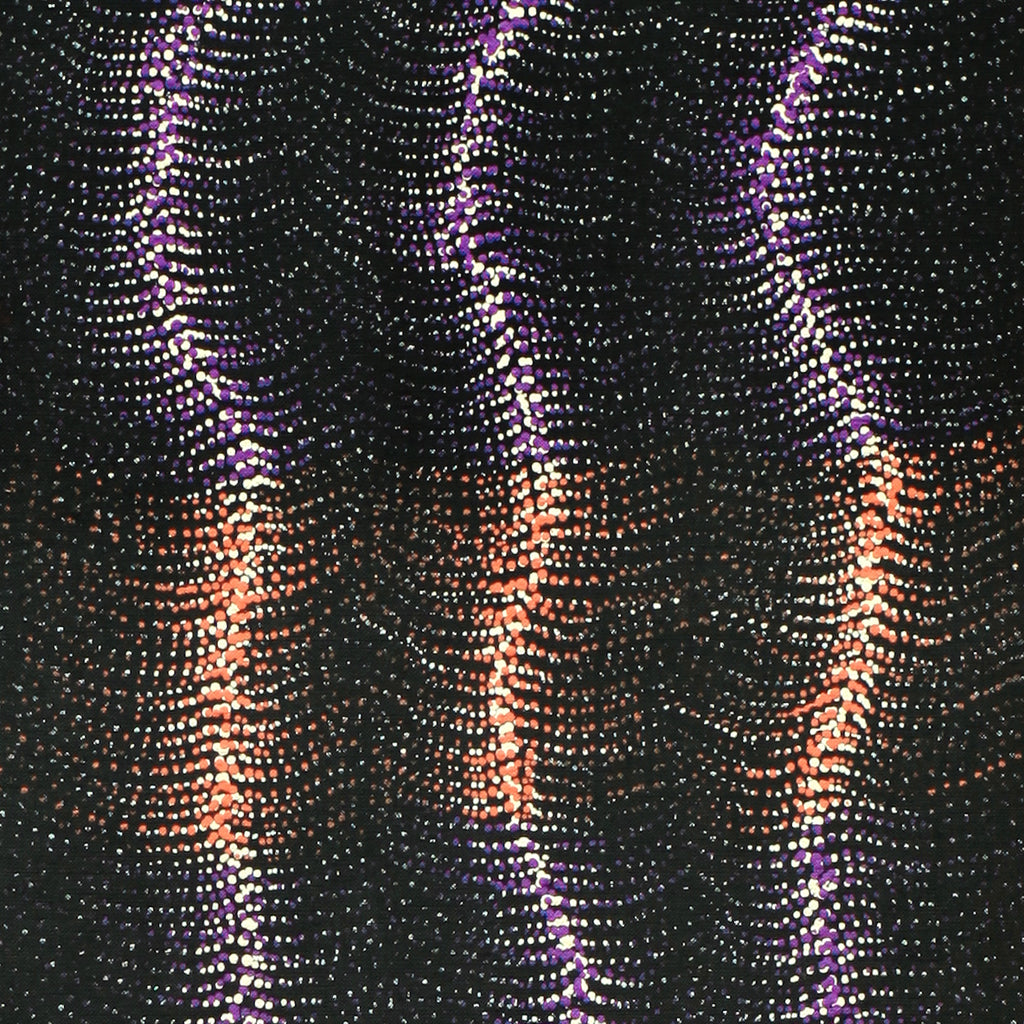 Aboriginal Artwork by Debbie Napaljarri Brown, Wanakiji Jukurrpa (Bush Tomato Dreaming), 107x30cm