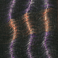 Aboriginal Artwork by Debbie Napaljarri Brown, Wanakiji Jukurrpa (Bush Tomato Dreaming), 107x30cm