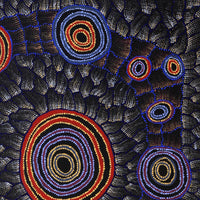 Aboriginal Artwork by Debbie Napaljarri Brown, Wanakiji Jukurrpa (Bush Tomato Dreaming), 91x76cm