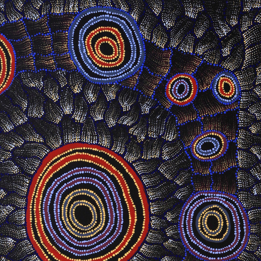 Aboriginal Artwork by Debbie Napaljarri Brown, Wanakiji Jukurrpa (Bush Tomato Dreaming), 91x76cm