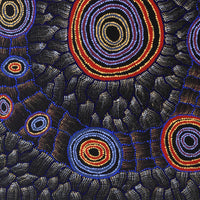 Aboriginal Artwork by Debbie Napaljarri Brown, Wanakiji Jukurrpa (Bush Tomato Dreaming), 91x76cm