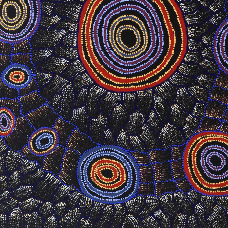 Aboriginal Artwork by Debbie Napaljarri Brown, Wanakiji Jukurrpa (Bush Tomato Dreaming), 91x76cm
