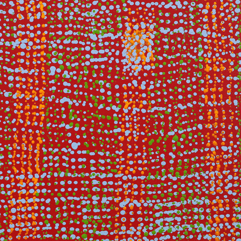 Aboriginal Artwork by Deborah Napaljarri Wayne, Yarungkanyi Jukurrpa (Mt Doreen Dreaming), 30x30cm