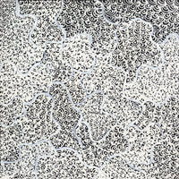 Aboriginal Artwork by Deborah Napaljarri Wayne, Yarungkanyi Jukurrpa (Mt Doreen Dreaming), 30x30cm