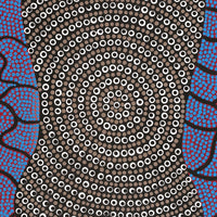 Aboriginal Artwork by Delvene Napangardi Langdon, Wanakiji Jukurrpa (Bush Tomato Dreaming), 76x46cm