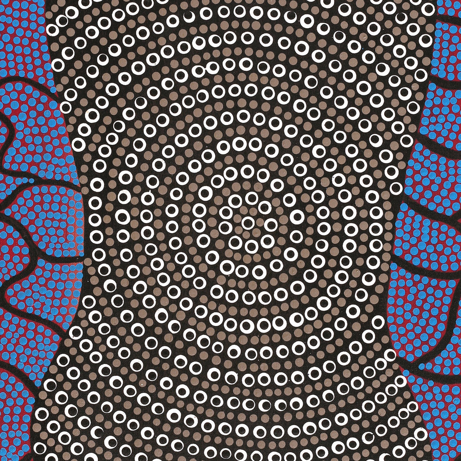 Aboriginal Artwork by Delvene Napangardi Langdon, Wanakiji Jukurrpa (Bush Tomato Dreaming), 76x46cm