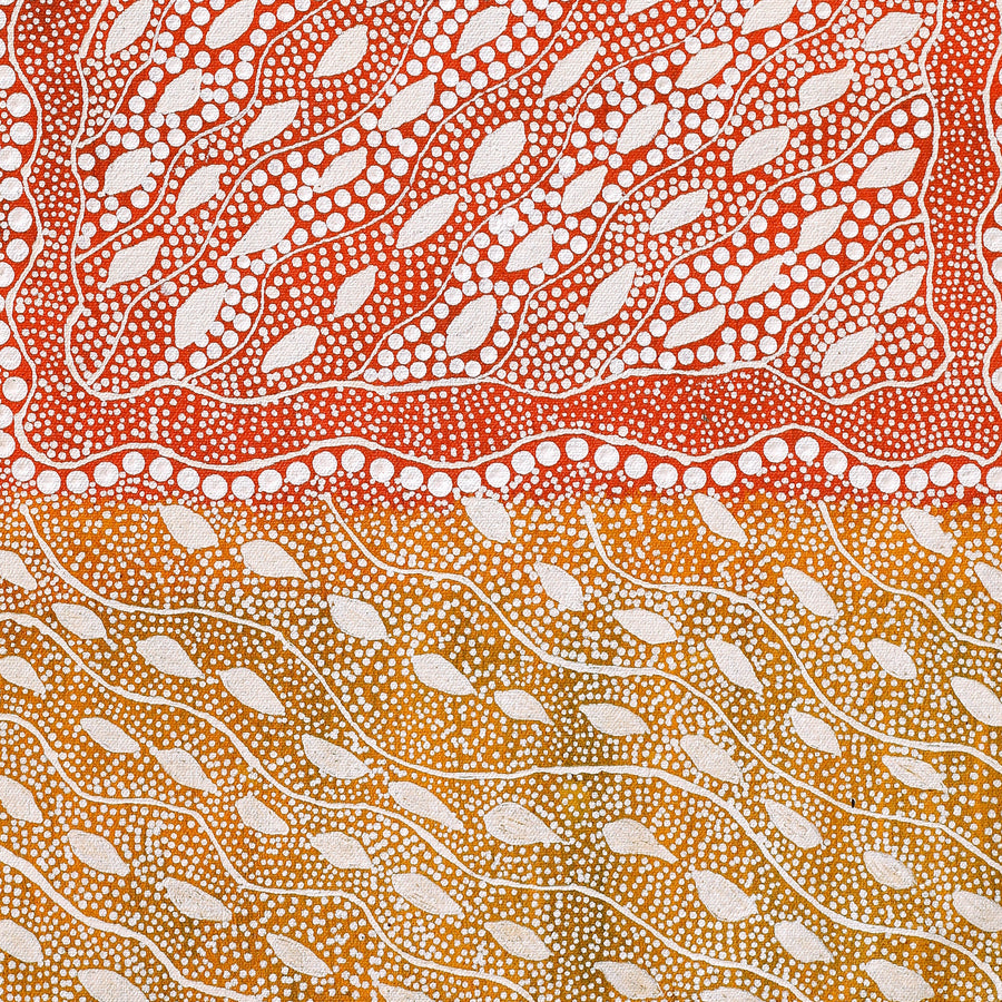 Aboriginal Artwork by Delvene Napangardi Langdon, Wanakiji Jukurrpa (Bush Tomato Dreaming), 61x30cm