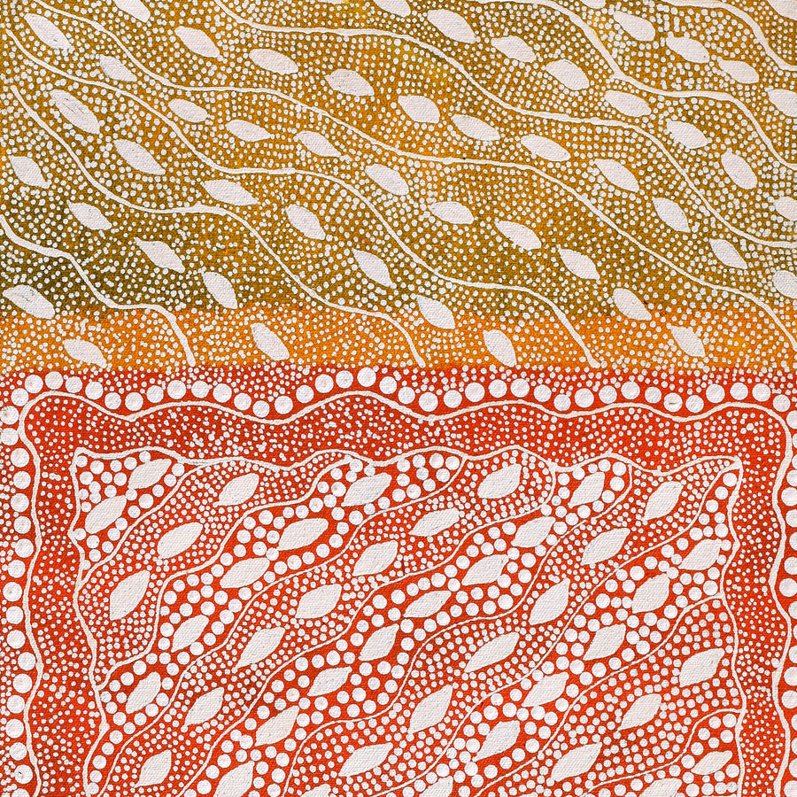 Aboriginal Artwork by Delvene Napangardi Langdon, Wanakiji Jukurrpa (Bush Tomato Dreaming), 61x30cm