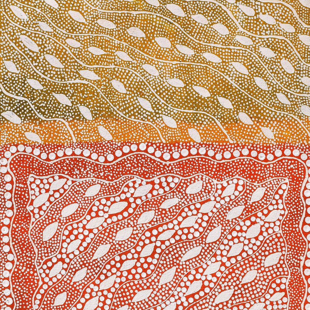 Aboriginal Art by Delvene Napangardi Langdon, Wanakiji Jukurrpa (Bush Tomato Dreaming), 61x30cm - ART ARK®