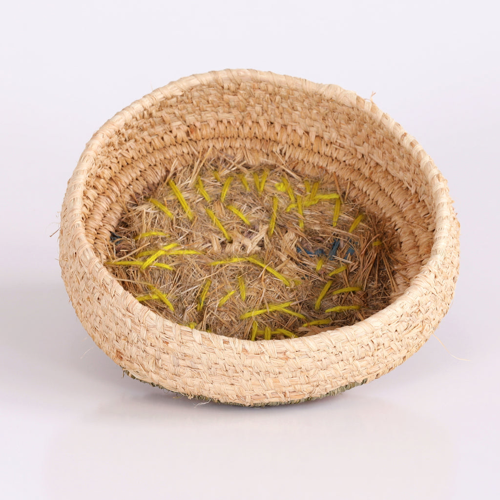 Aboriginal Artwork by Denise Jackson - Tjanpi Basket