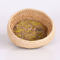 Aboriginal Artwork by Denise Jackson - Tjanpi Basket