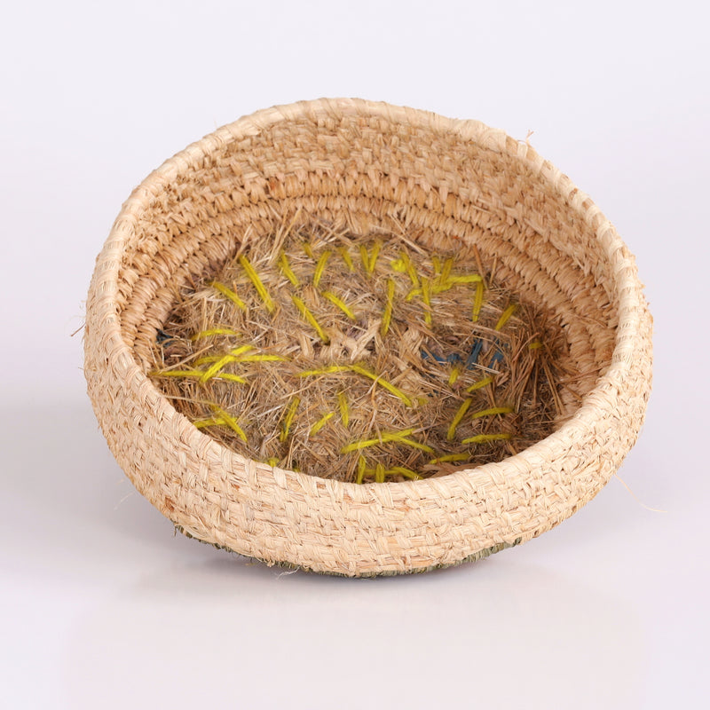 Aboriginal Artwork by Denise Jackson - Tjanpi Basket