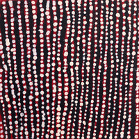 Aboriginal Artwork by Desmond Japangardi Williams, Ngapa Jukurrpa (Water Dreaming) - Pirlinyarnu, 30x30cm