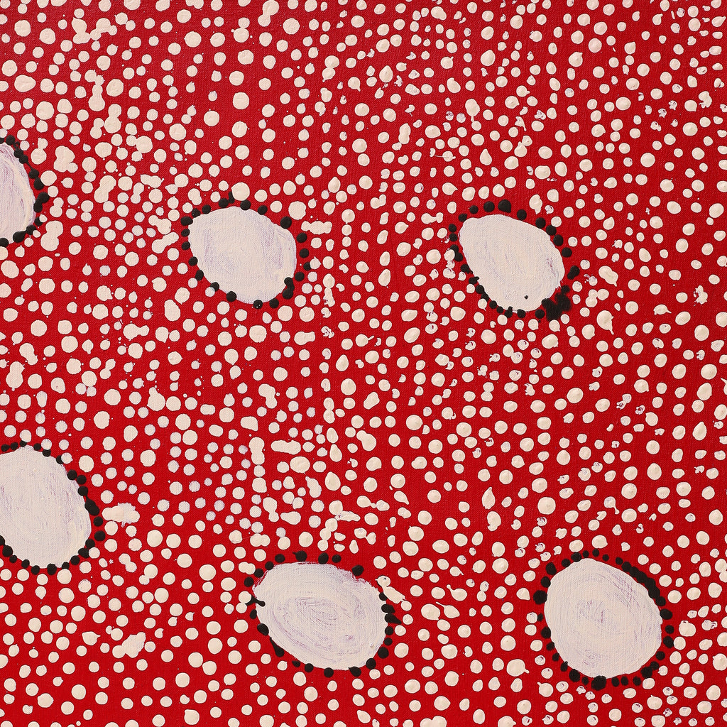 Aboriginal Artwork by Desmond Japangardi Williams, Ngapa Jukurrpa - Pirlinyarnu, 76x46cm