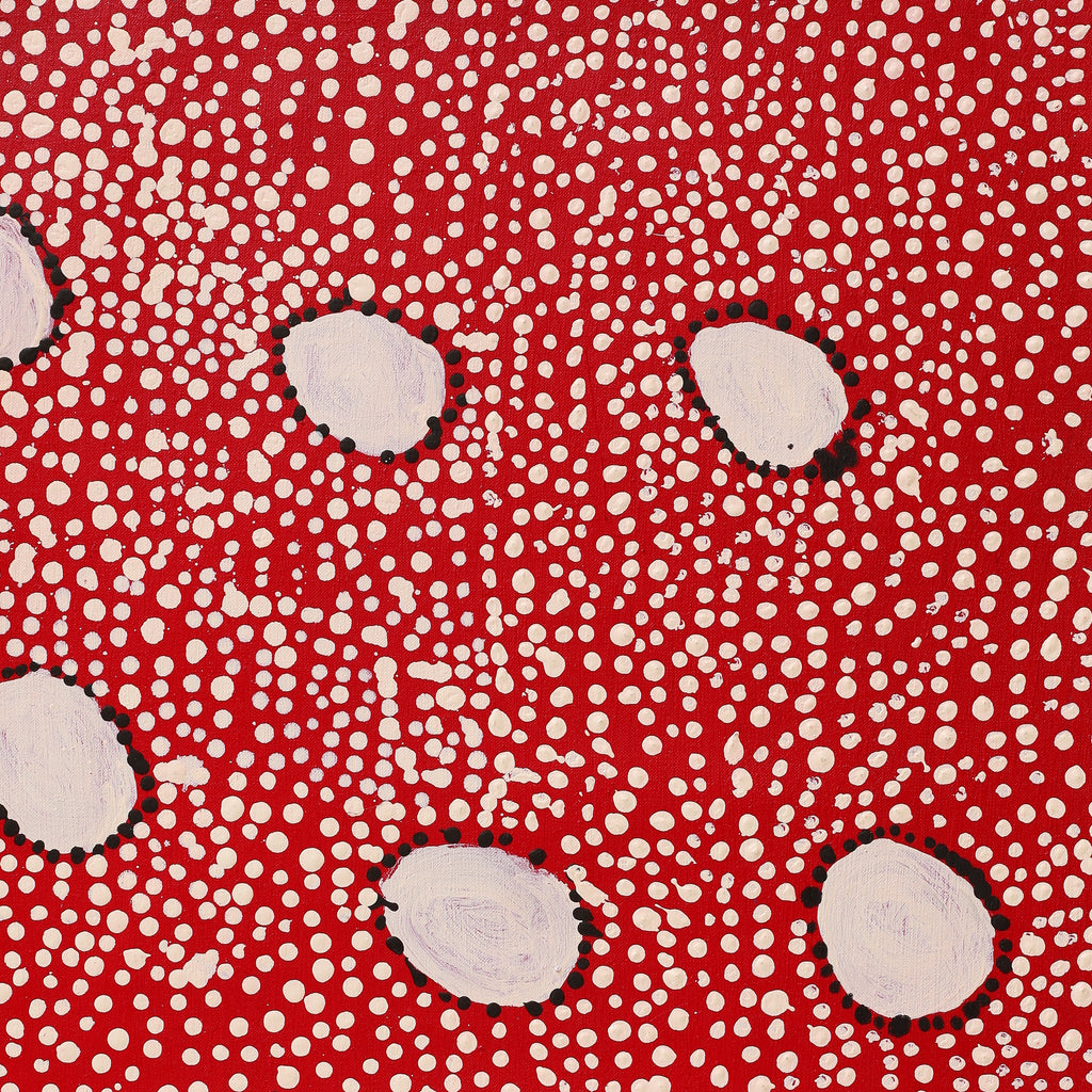 Aboriginal Artwork by Desmond Japangardi Williams, Ngapa Jukurrpa - Pirlinyarnu, 76x46cm - ART ARK®