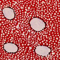 Aboriginal Artwork by Desmond Japangardi Williams, Ngapa Jukurrpa - Pirlinyarnu, 76x46cm
