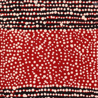 Aboriginal Artwork by Desmond Japangardi Williams, Ngapa Jukurrpa - Pirlinyarnu, 76x30cm