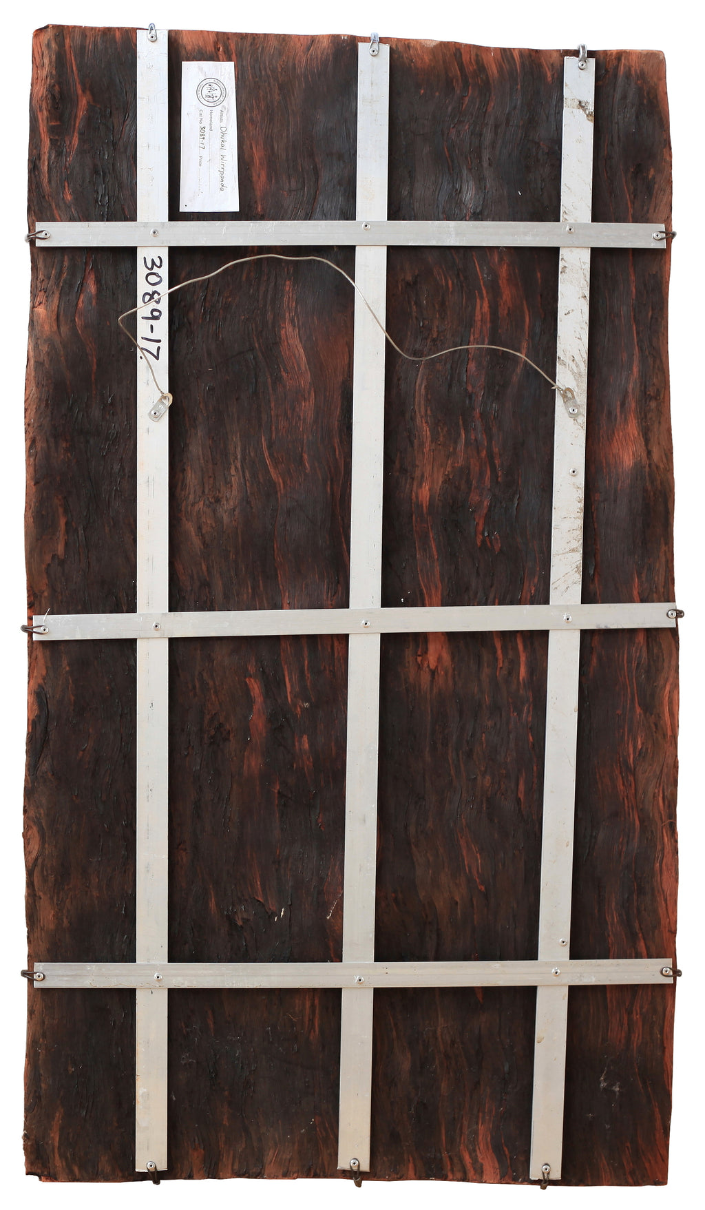 Aboriginal Artwork by Dhukal Wirrpanda, Yalata, 91x52cm Bark