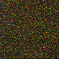 Aboriginal Artwork by Dianne Nangala Egan, Warlukurlangu Jukurrpa (Fire country Dreaming), 30x30cm