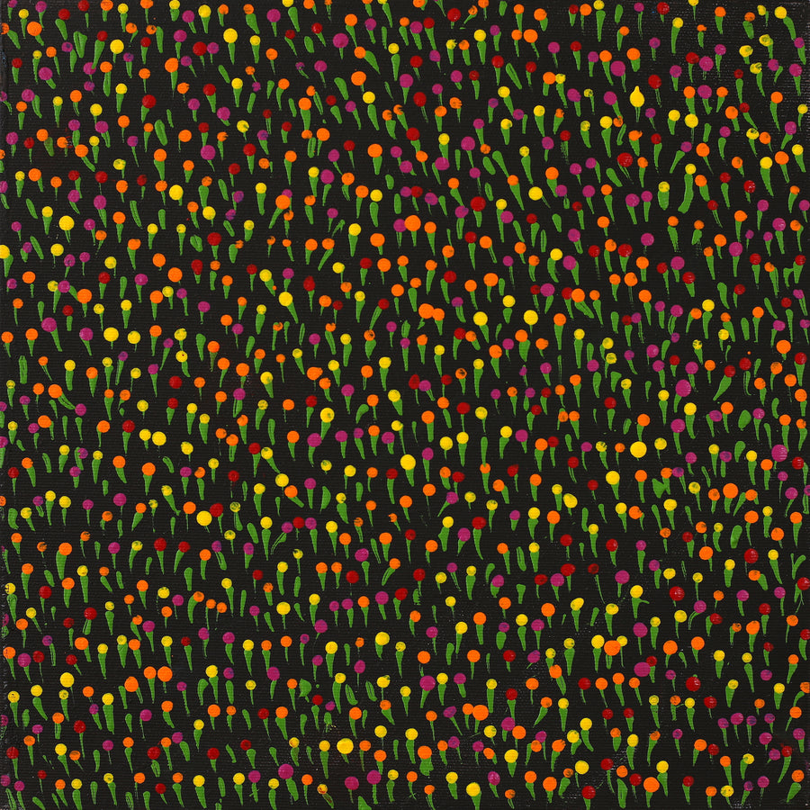 Aboriginal Artwork by Dianne Nangala Egan, Warlukurlangu Jukurrpa (Fire country Dreaming), 30x30cm