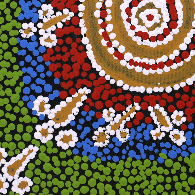 Aboriginal Artwork by Dion Jampijinpa Brown, Yankirri Jukurrpa (Emu Dreaming) - Ngarlikirlangu, 30x30cm