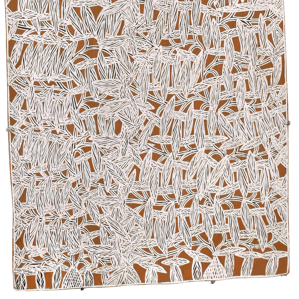 Aboriginal Artwork by Djirrirra Wunuŋmurra Yukuwa, Yukuwa, 105x45cm Bark