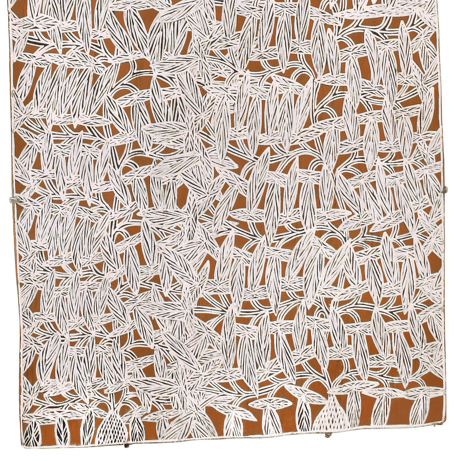 Aboriginal Artwork by Djirrirra Wunuŋmurra Yukuwa, Yukuwa, 105x45cm Bark