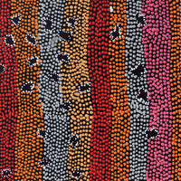 Aboriginal Artwork by Dora Napaljarri Kitson, Ngatijirri Jukurrpa (Budgerigar Dreaming), 46x46cm
