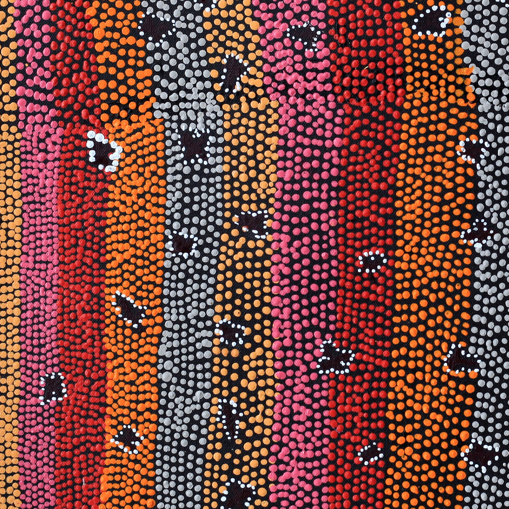Aboriginal Artwork by Dora Napaljarri Kitson, Ngatijirri Jukurrpa (Budgerigar Dreaming), 46x46cm
