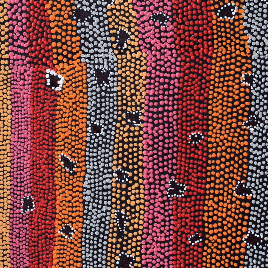 Aboriginal Artwork by Dora Napaljarri Kitson, Ngatijirri Jukurrpa (Budgerigar Dreaming), 46x46cm