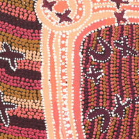 Aboriginal Artwork by Dora Napaljarri Kitson, Ngatijirri Jukurrpa (Budgerigar Dreaming), 46x46cm