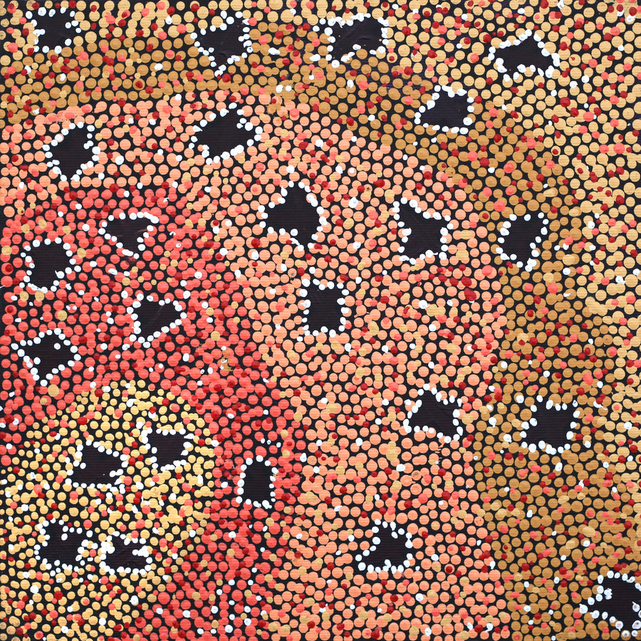 Aboriginal Artwork by Dora Napaljarri Kitson, Ngatijirri Jukurrpa (Budgerigar Dreaming), 30x30cm