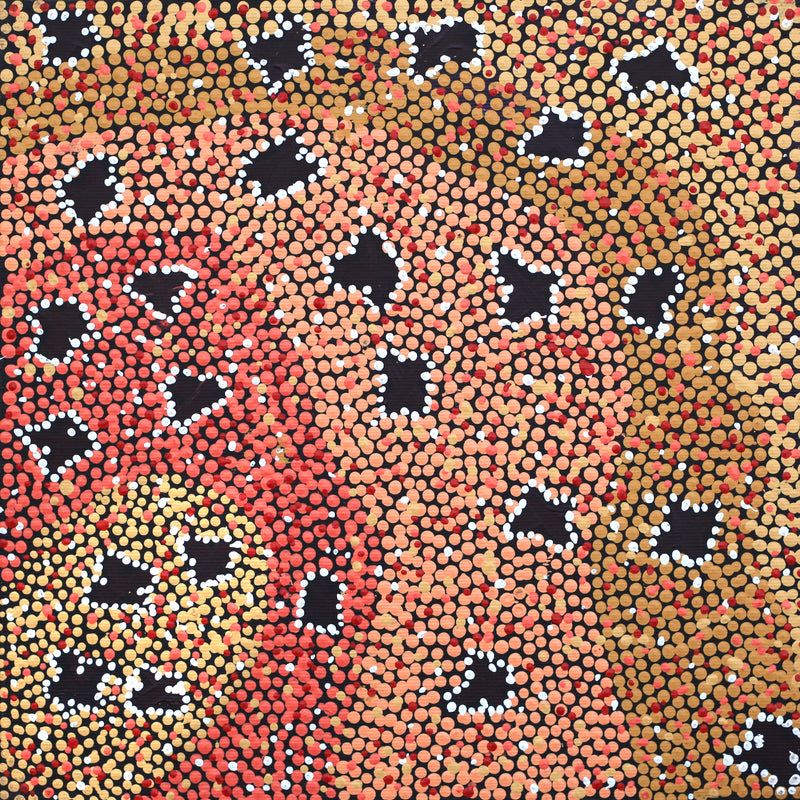Aboriginal Artwork by Dora Napaljarri Kitson, Ngatijirri Jukurrpa (Budgerigar Dreaming), 30x30cm