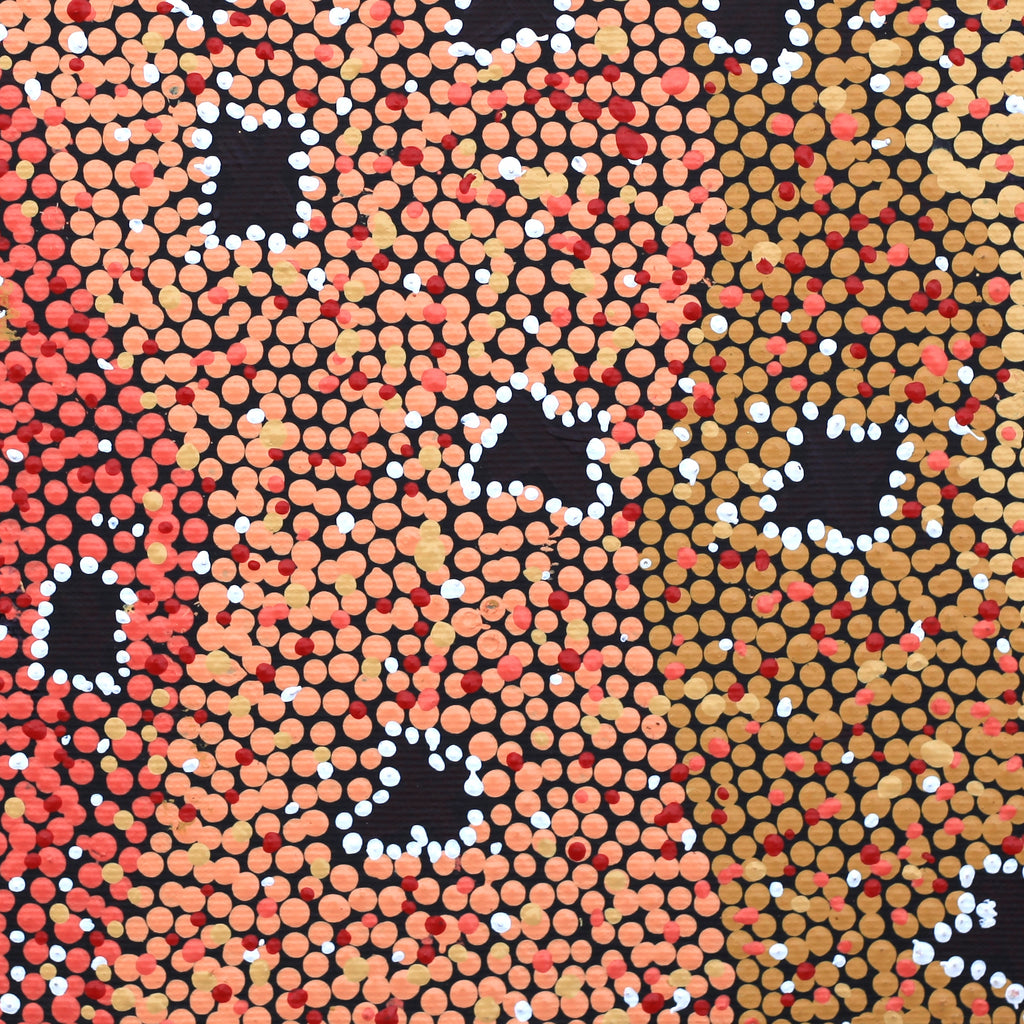 Aboriginal Artwork by Dora Napaljarri Kitson, Ngatijirri Jukurrpa (Budgerigar Dreaming), 30x30cm