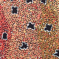 Aboriginal Artwork by Dora Napaljarri Kitson, Ngatijirri Jukurrpa (Budgerigar Dreaming), 30x30cm