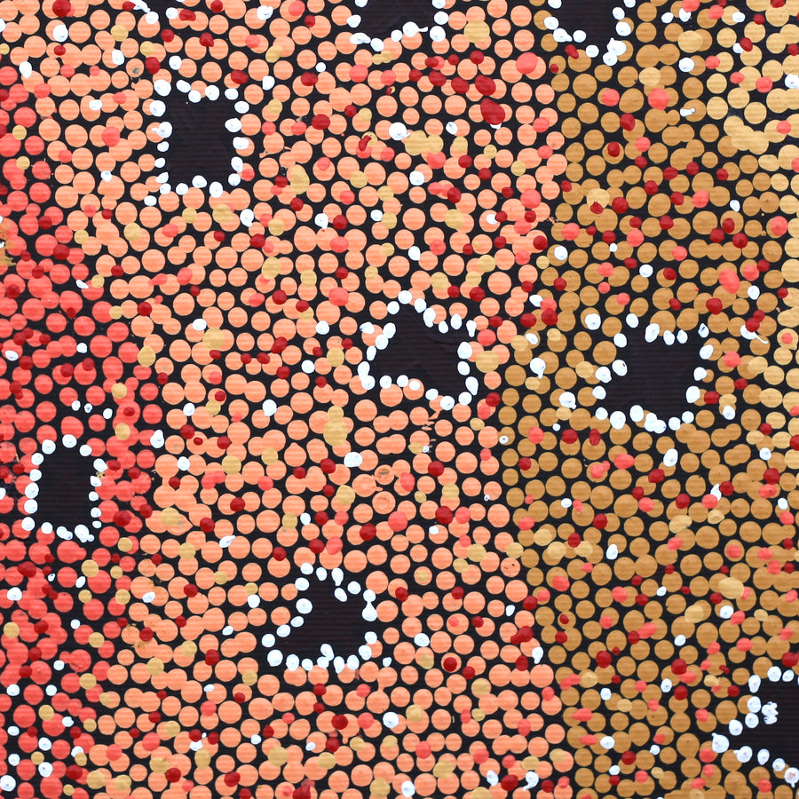 Aboriginal Artwork by Dora Napaljarri Kitson, Ngatijirri Jukurrpa (Budgerigar Dreaming), 30x30cm