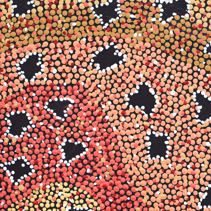 Aboriginal Artwork by Dora Napaljarri Kitson, Ngatijirri Jukurrpa (Budgerigar Dreaming), 30x30cm