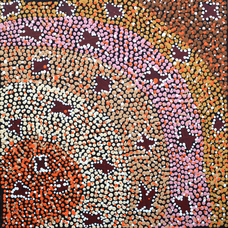 Aboriginal Artwork by Dora Napaljarri Kitson, Ngatijirri Jukurrpa (Budgerigar Dreaming), 30x30cm