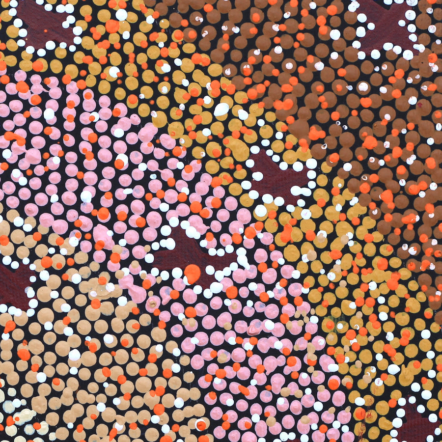Aboriginal Artwork by Dora Napaljarri Kitson, Ngatijirri Jukurrpa (Budgerigar Dreaming), 30x30cm