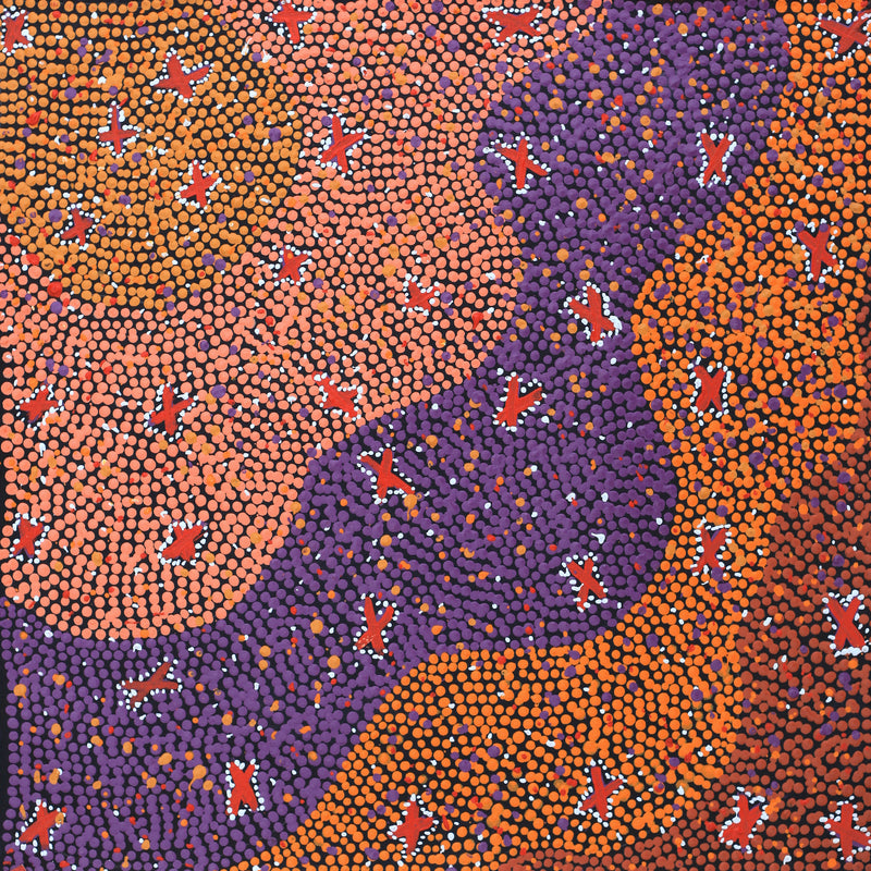 Aboriginal Artwork by Dora Napaljarri Kitson, Ngatijirri Jukurrpa (Budgerigar Dreaming), 46x46cm