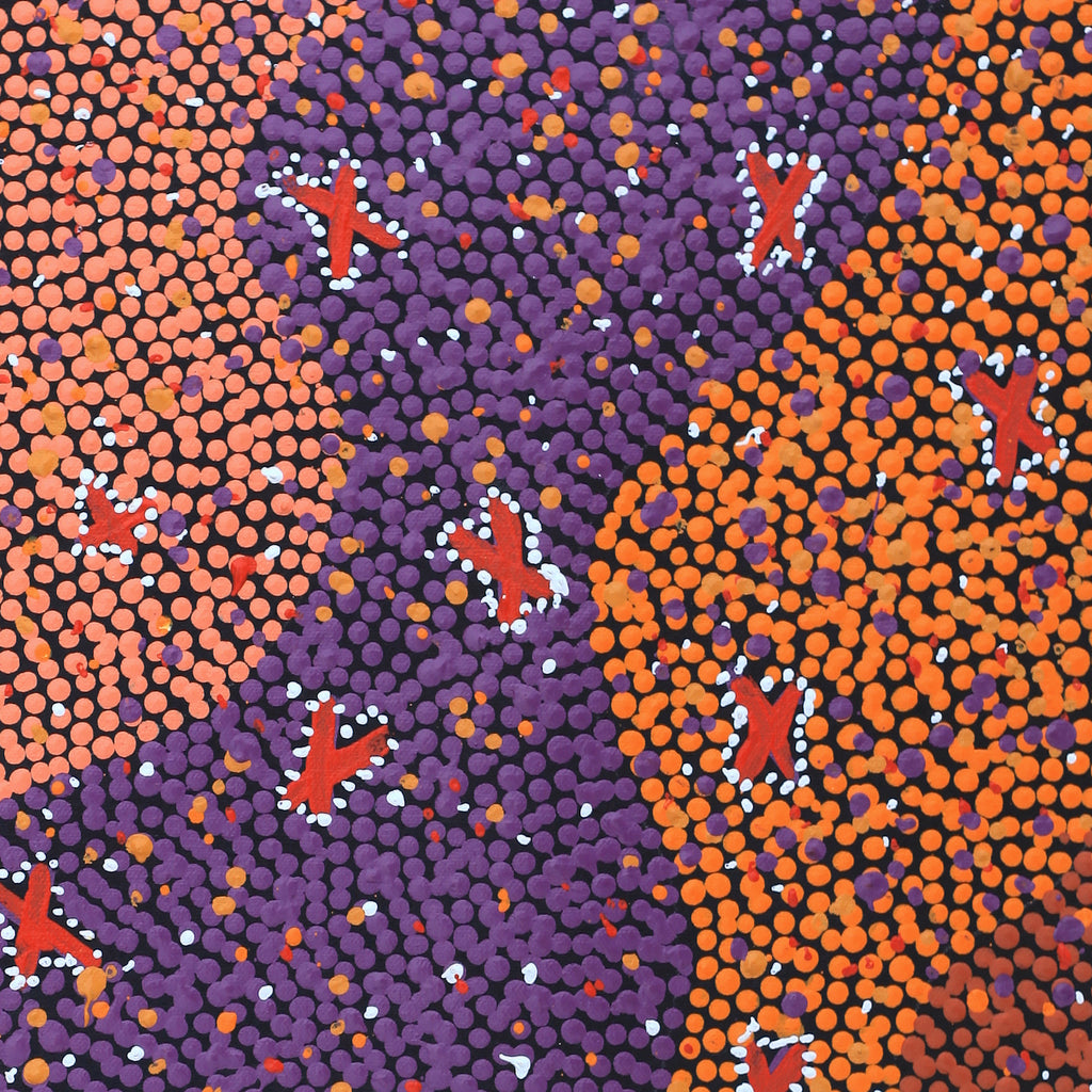 Aboriginal Artwork by Dora Napaljarri Kitson, Ngatijirri Jukurrpa (Budgerigar Dreaming), 46x46cm